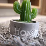 Anesis Aera Luxury * Kos Town