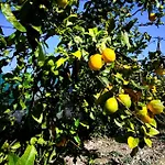 Apartment Anesis Aera Luxury *